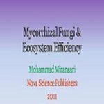 ...ebook: Myc