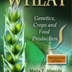 ...Wheat