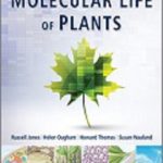 ...Molecular