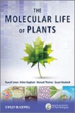 ...Molecular